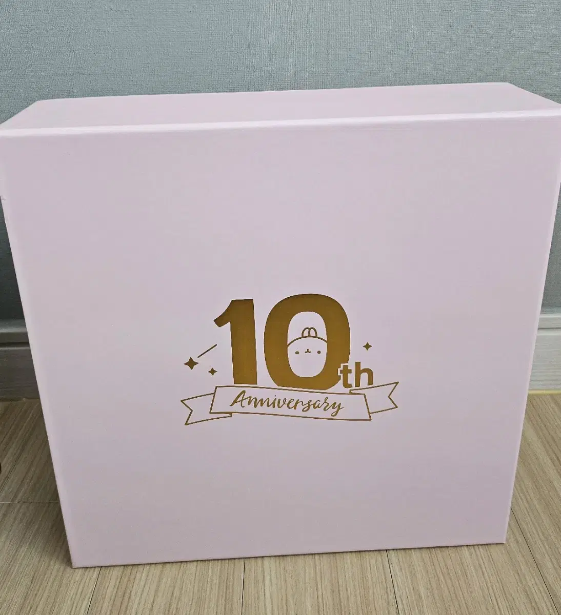 몰랑이 10주년 핑크에디션