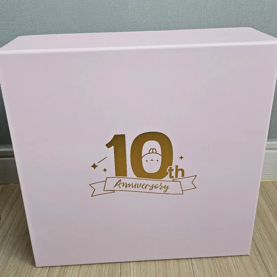 몰랑이 10주년 핑크에디션