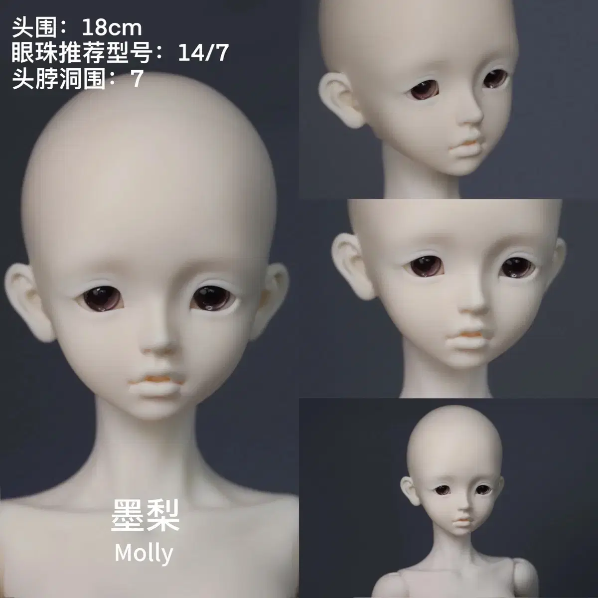 구관 LaLuna Doll 헤드 팝니다