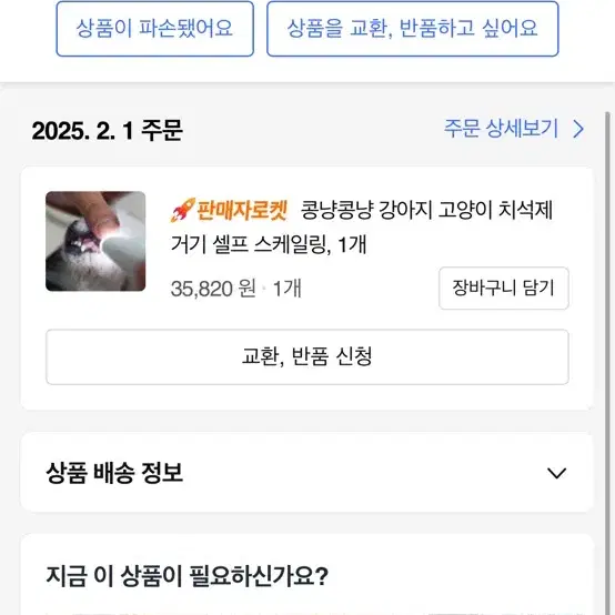 강아지 고양이 치석제거기