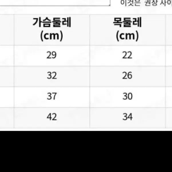 *새상품 L  테디베어 두발점퍼 강아지옷