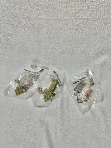 생물대도감 크레스티드 게코 세트