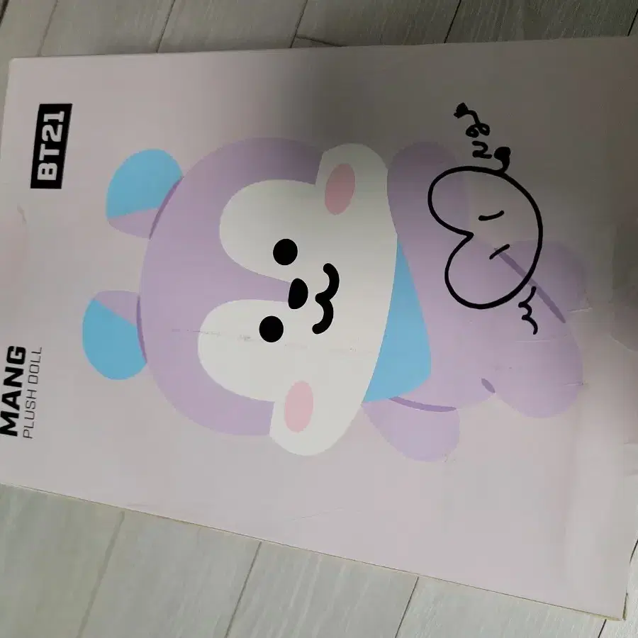 BT21 망 플러시 인형 중형 M