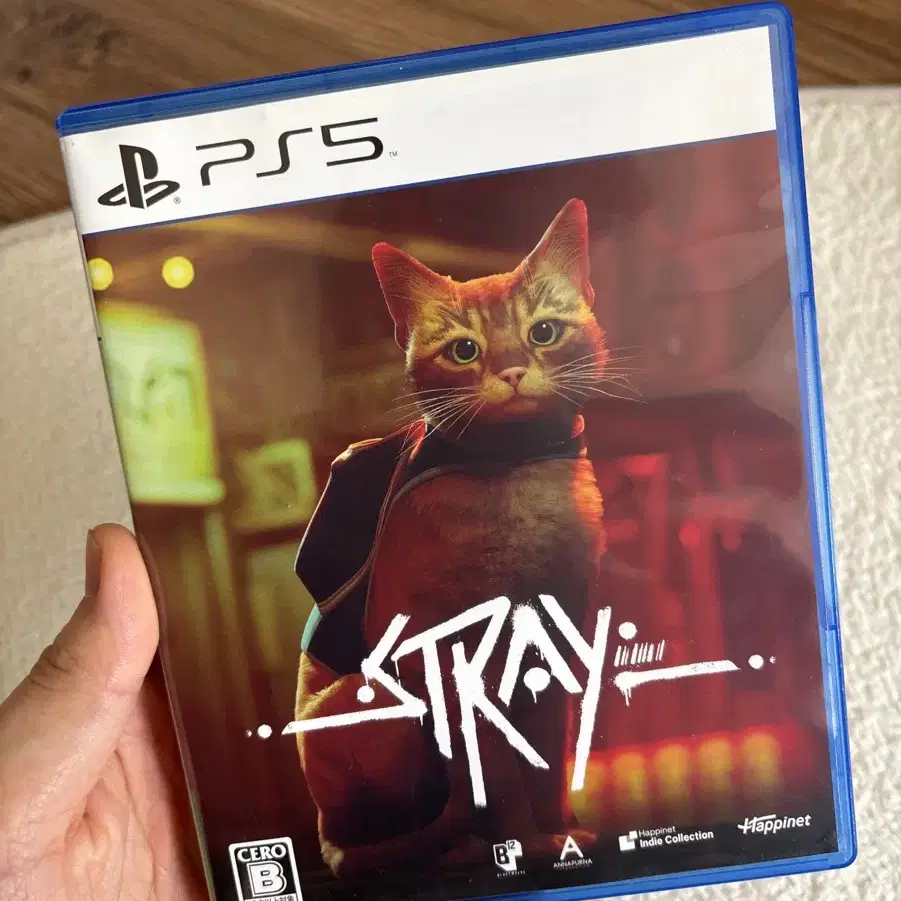 PS5 Stray