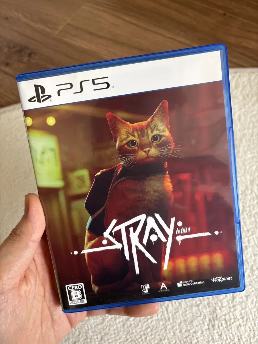 PS5 Stray