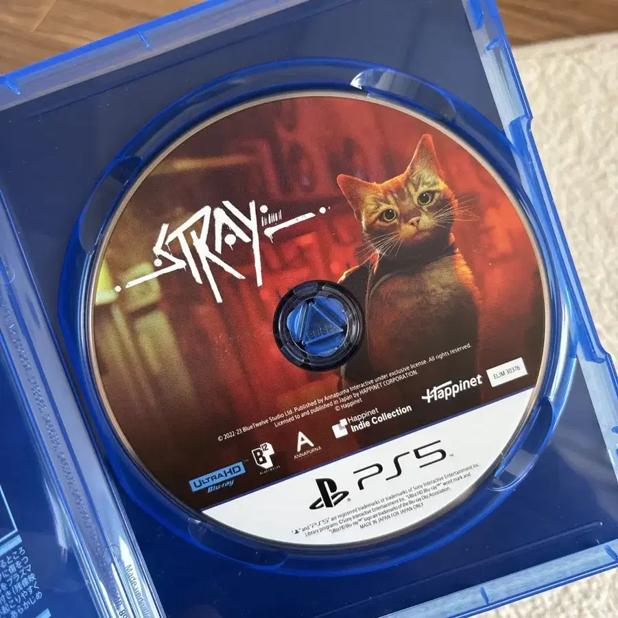 PS5 Stray