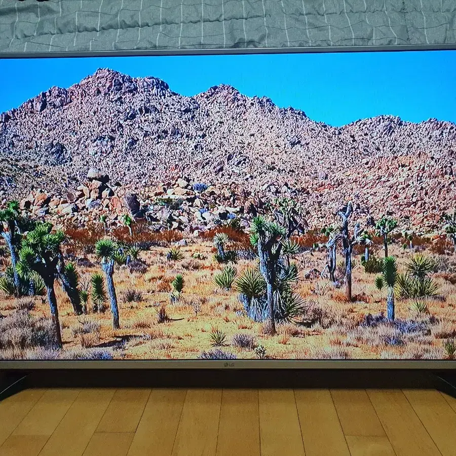 LG 49인치 티비 모니터 LED TV 무결점  IPS패널 양천구