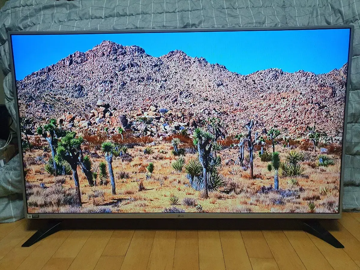 LG 49인치 티비 모니터 LED TV 무결점  IPS패널 양천구