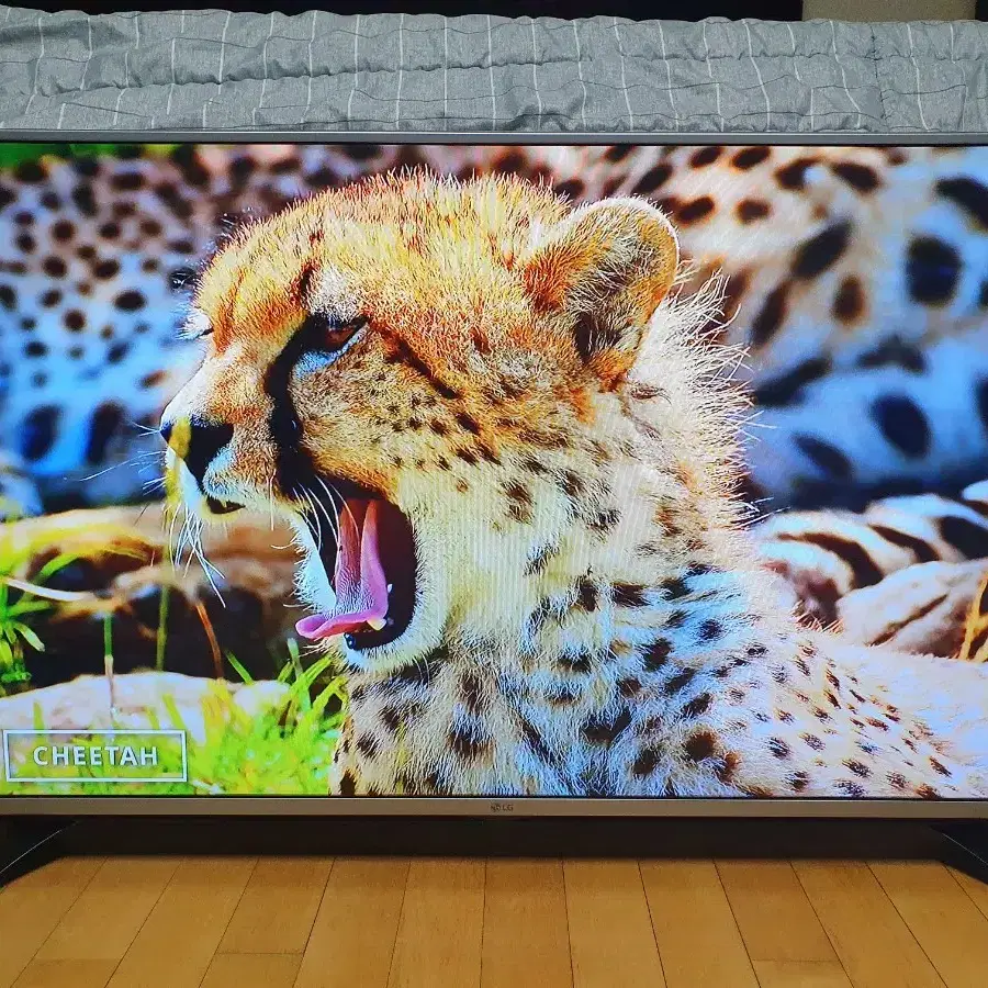 LG 49인치 티비 모니터 LED TV 무결점  IPS패널 양천구