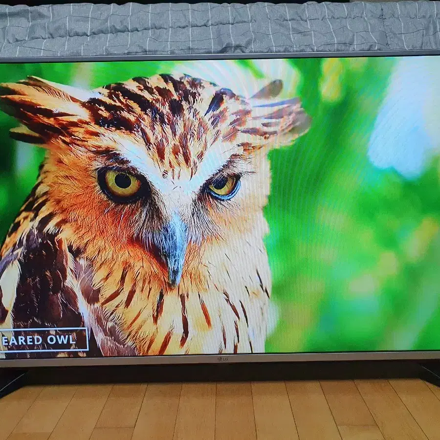 LG 49인치 티비 모니터 LED TV 무결점  IPS패널 양천구