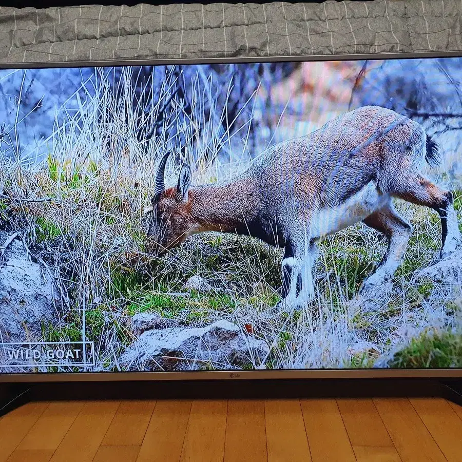 LG 49인치 티비 모니터 LED TV 무결점  IPS패널 양천구