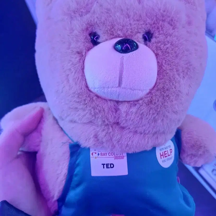 새상품) 테드2 앞치마 인형 ted