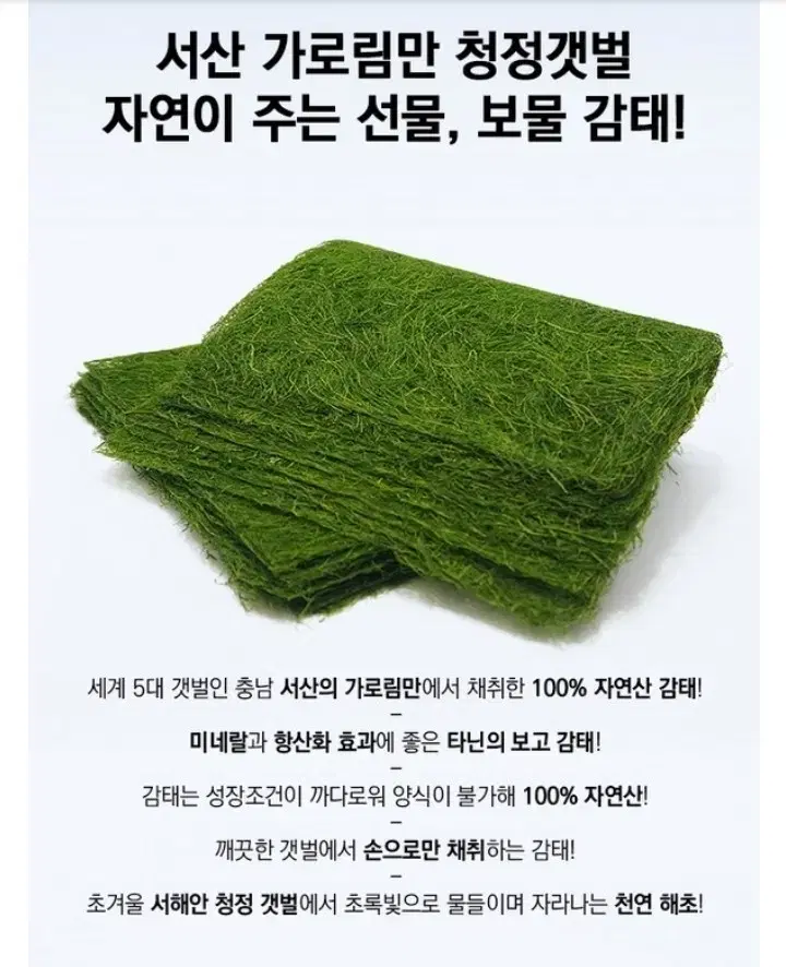 무배 서해안 생감태 10매.20g.감태.김