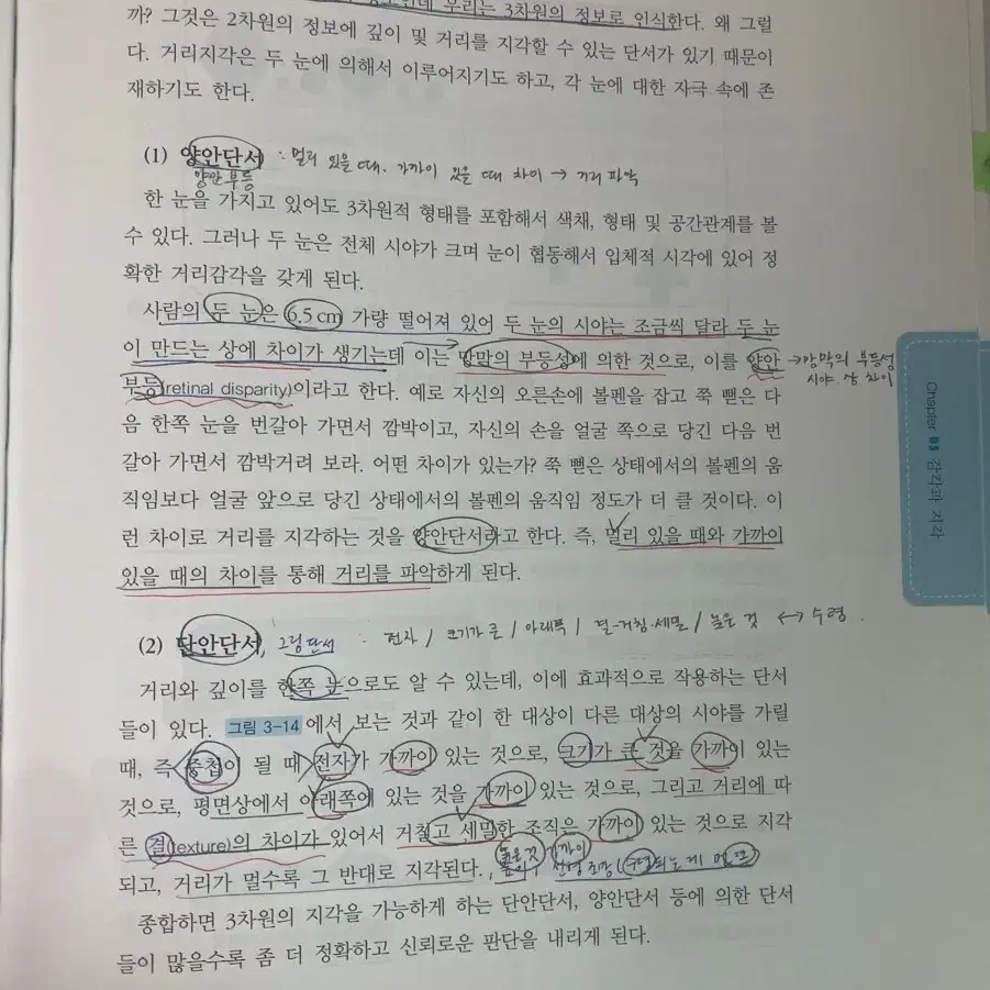 양성원 개정판 <인간이해를 위한 심리학> 심리영 외