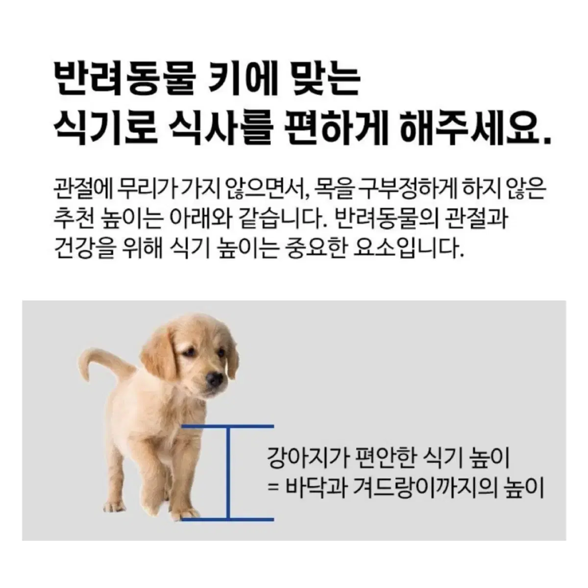 대형견 강아지 반려견 대리석 식탁 30cm 비앙코카라 밥그릇