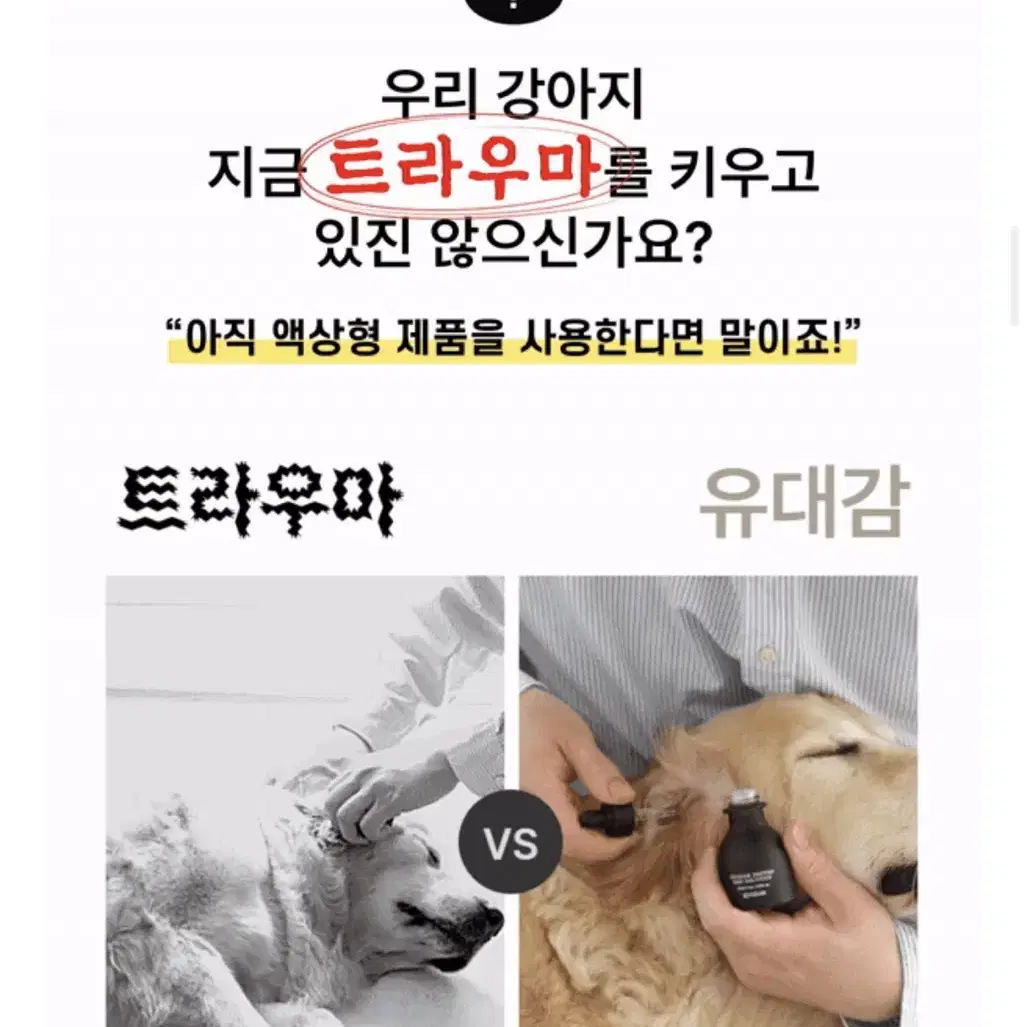 강아지 이어세정제3병(교감효소 이어솔루션)