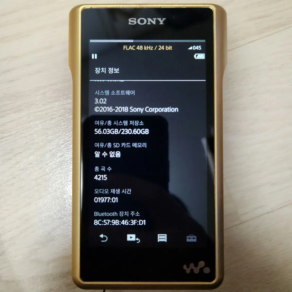 SONY NW-WM1Z 소니 금덩이 DAP