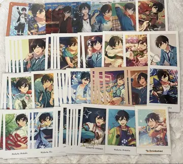 빙호북두 파샤이코 파샤이코 파샤잇