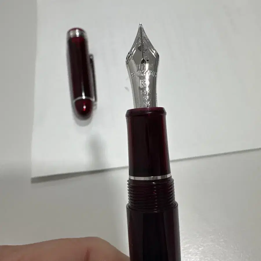 만년필 Platinum Century #3776 SF nib