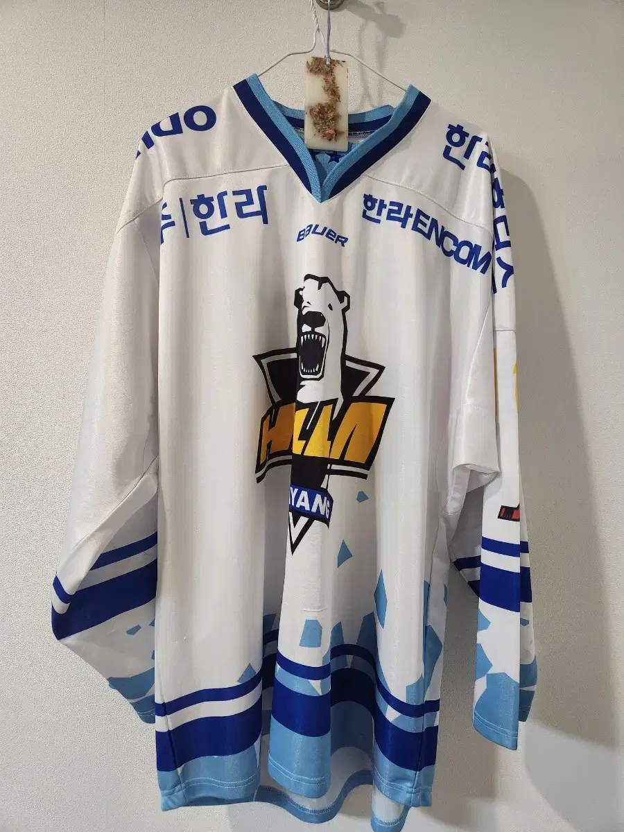 Ice hockey Anyang Halla player's uniform