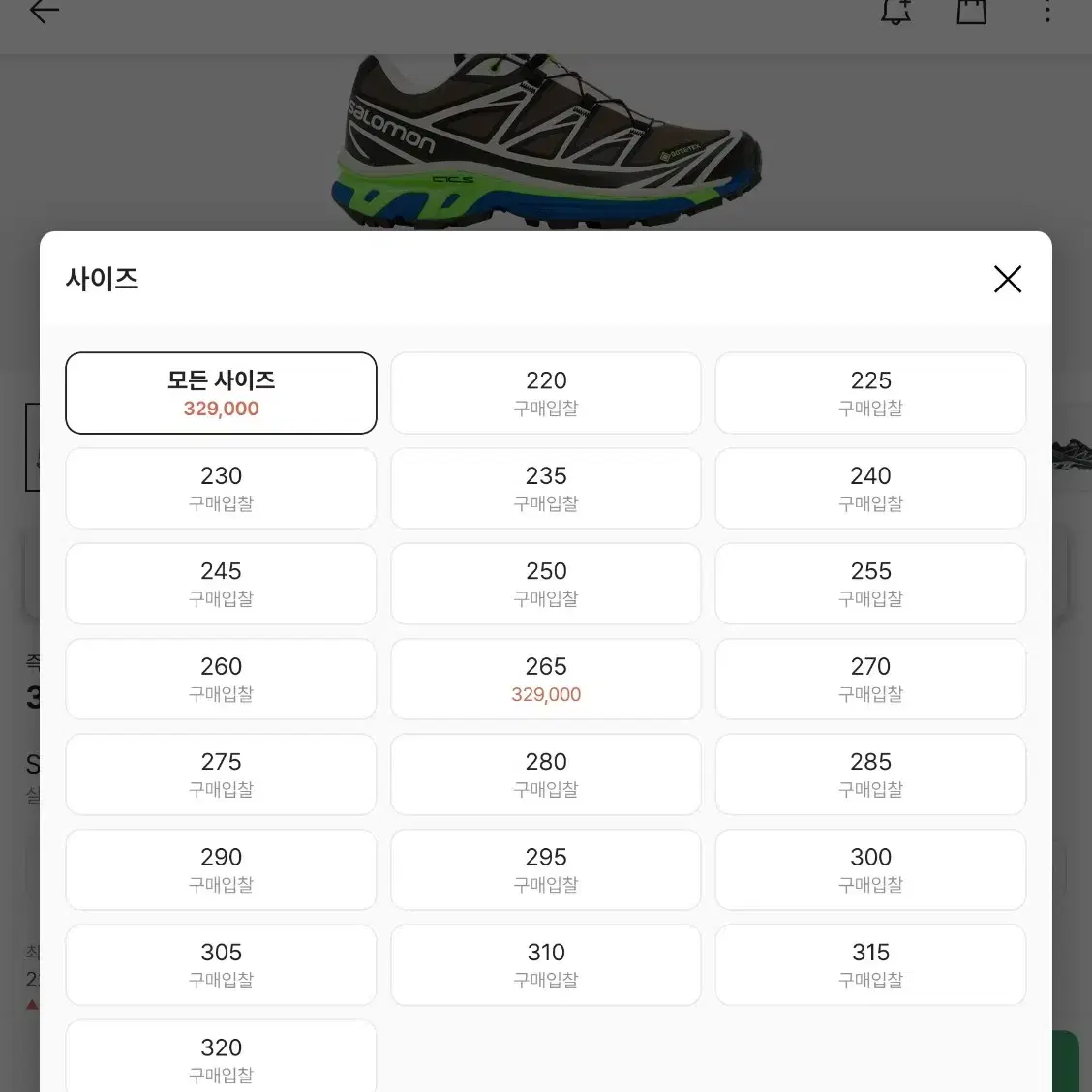 살로몬xt6 gtx 285-290 고어텍스 Ssense 한정 wren