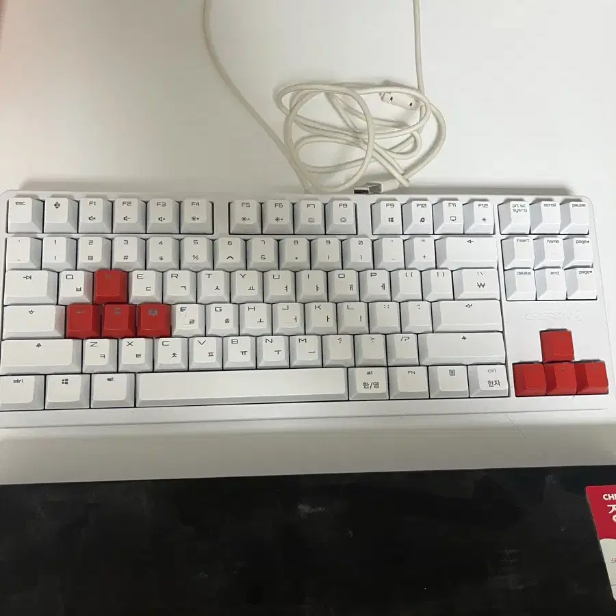 체리 g80-3000s tkl 화이트