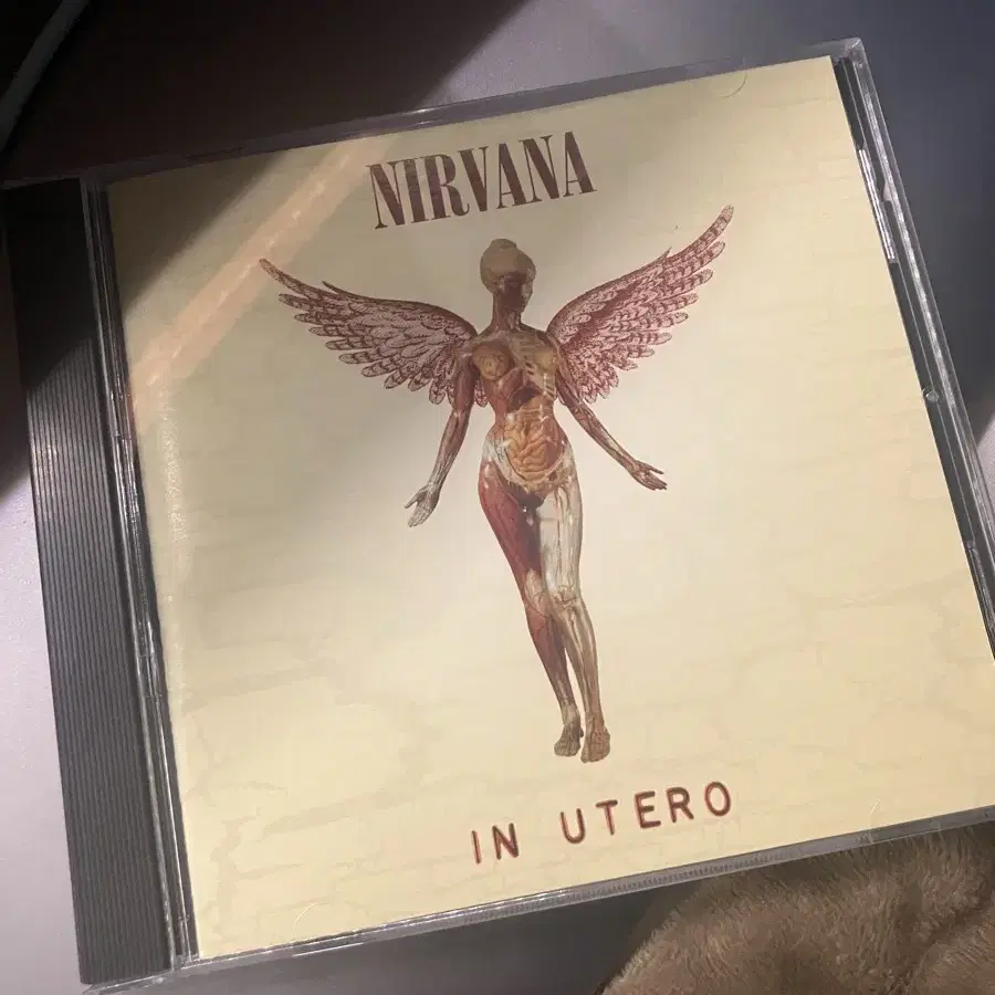 너바나 Nirvana 3집 In utero cd 앨범