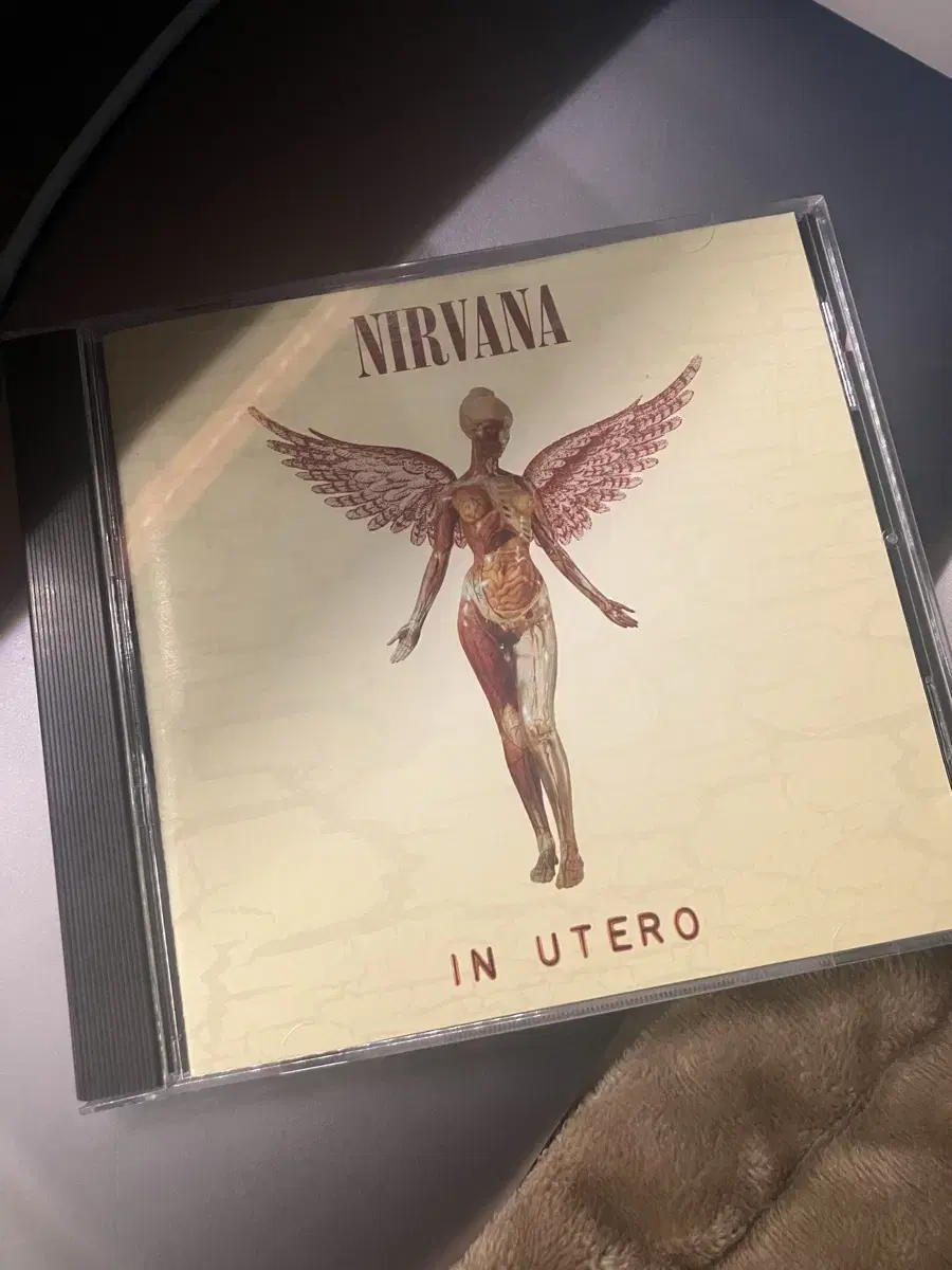 너바나 Nirvana 3집 In utero cd 앨범