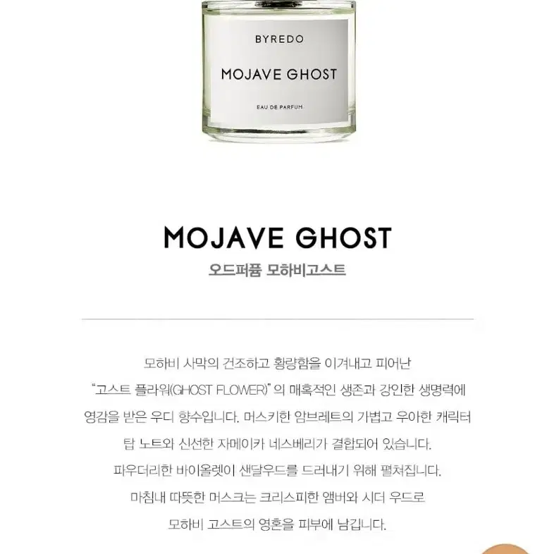 바이레도 모하비고스트 오드퍼퓸 100ml (국문탭 새제품)