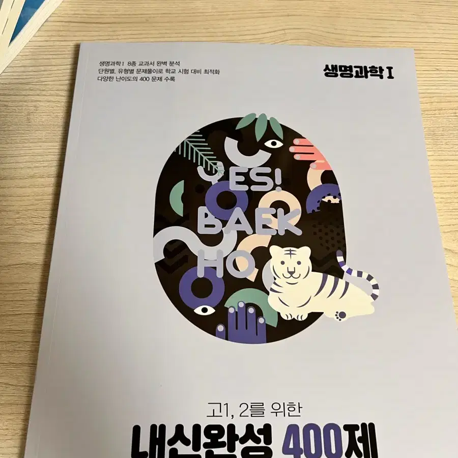 백호 섬개완 2025