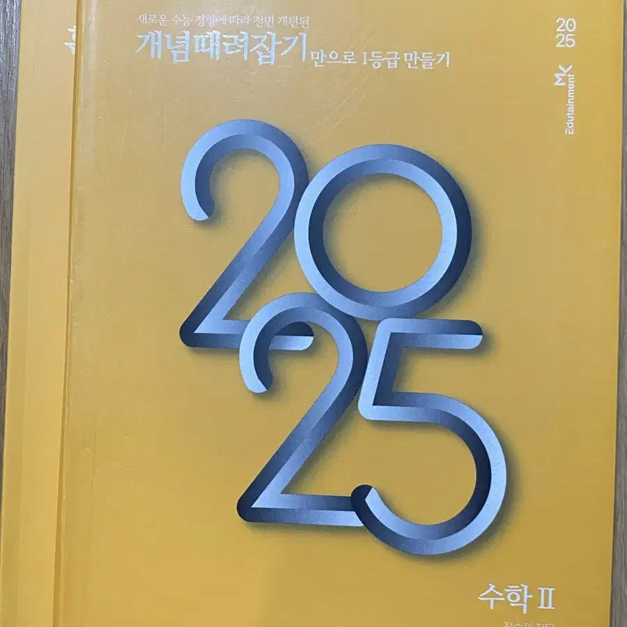 정승제 2025 개때잡 수2