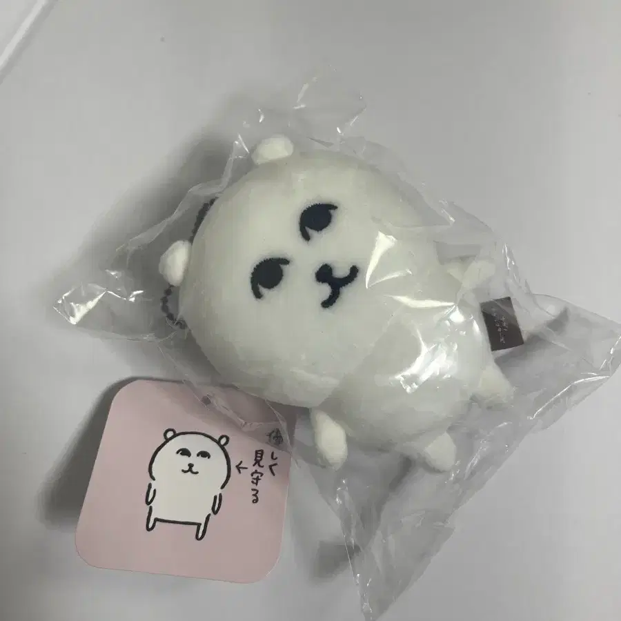 그윽한 농담곰