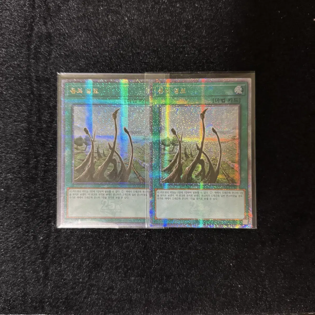 유희왕 한글판 용의영묘 QCCP-KR194 QCSecret Rare