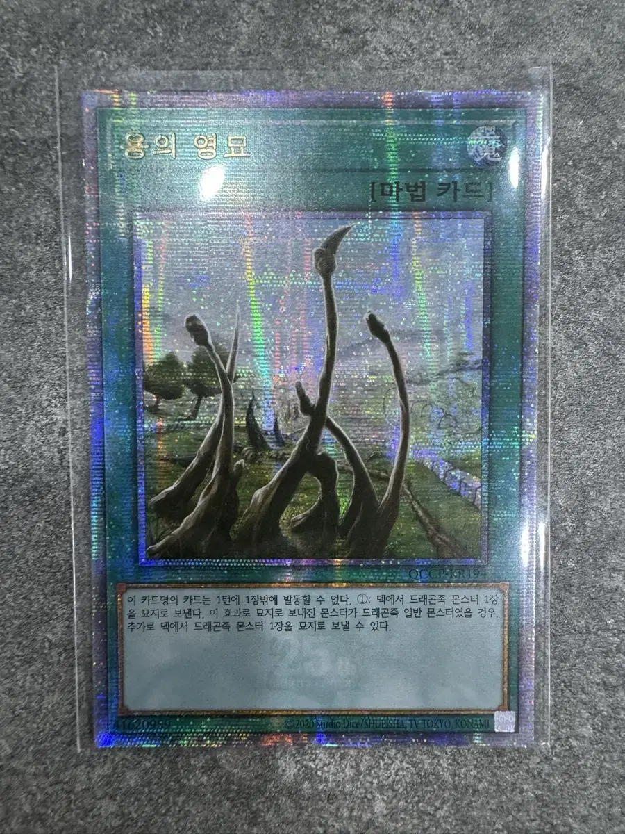 유희왕 한글판 용의영묘 QCCP-KR194 QCSecret Rare