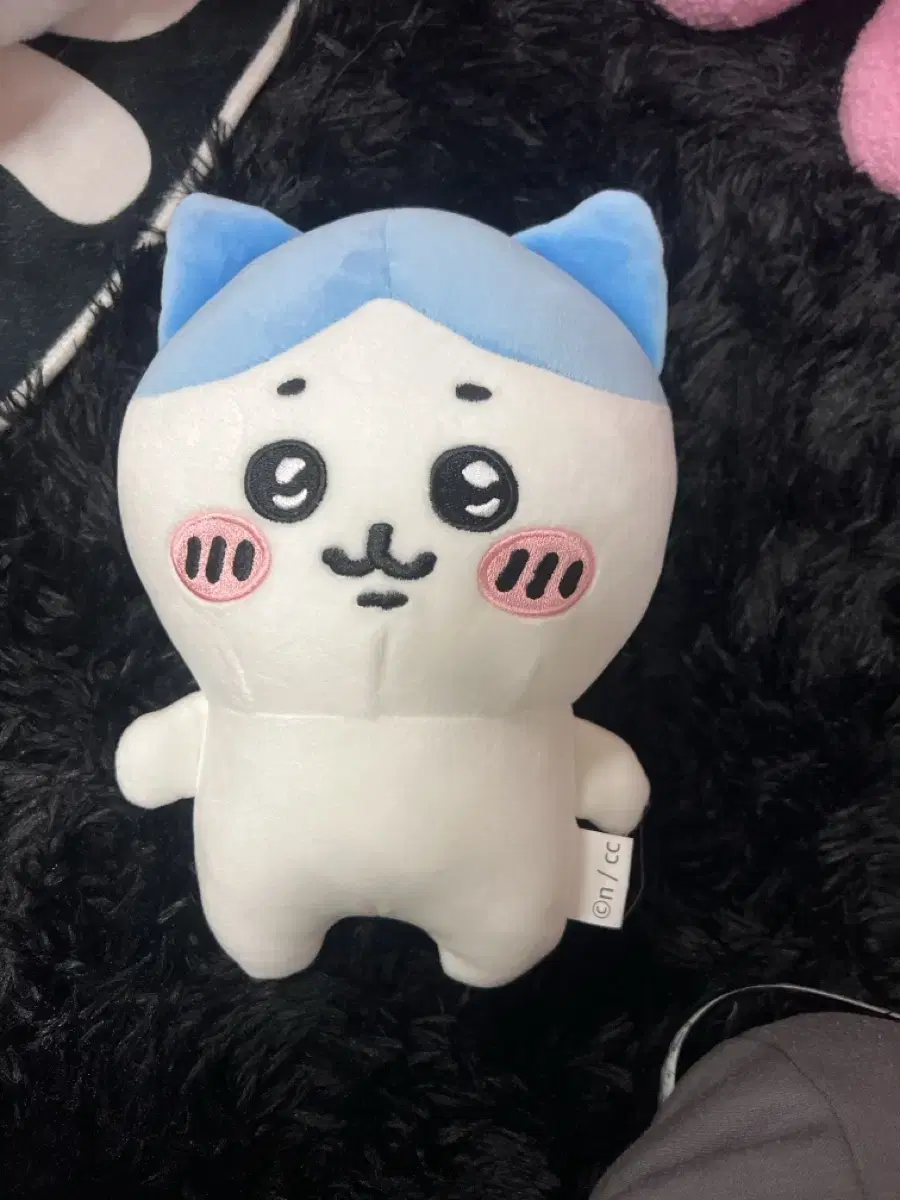 하치와레 인형 25cm