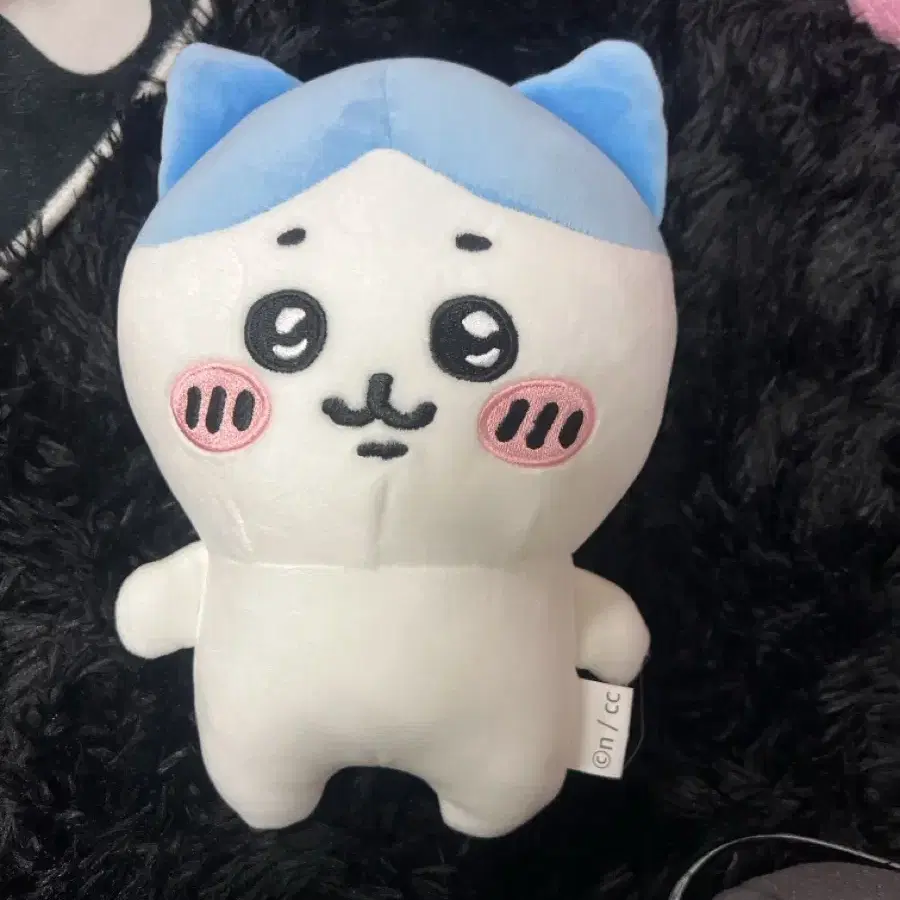 하치와레 인형 25cm