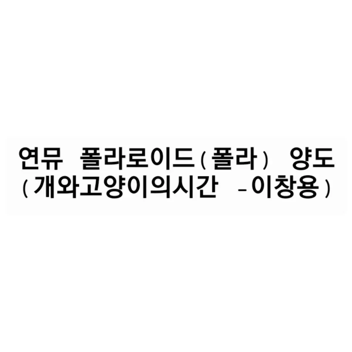 연뮤 폴라(폴라로이드) 개와고양이의시간(댕냥시/개냥시) 이창용 배우