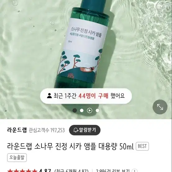 소나무 앰플 50ml 미개봉 새제품