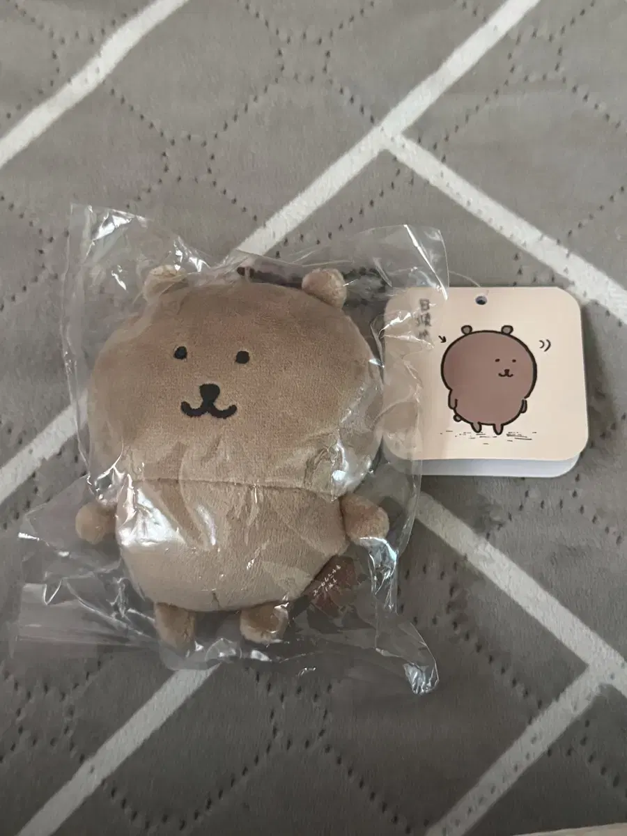 농담곰 태닝곰 태닝 농담곰