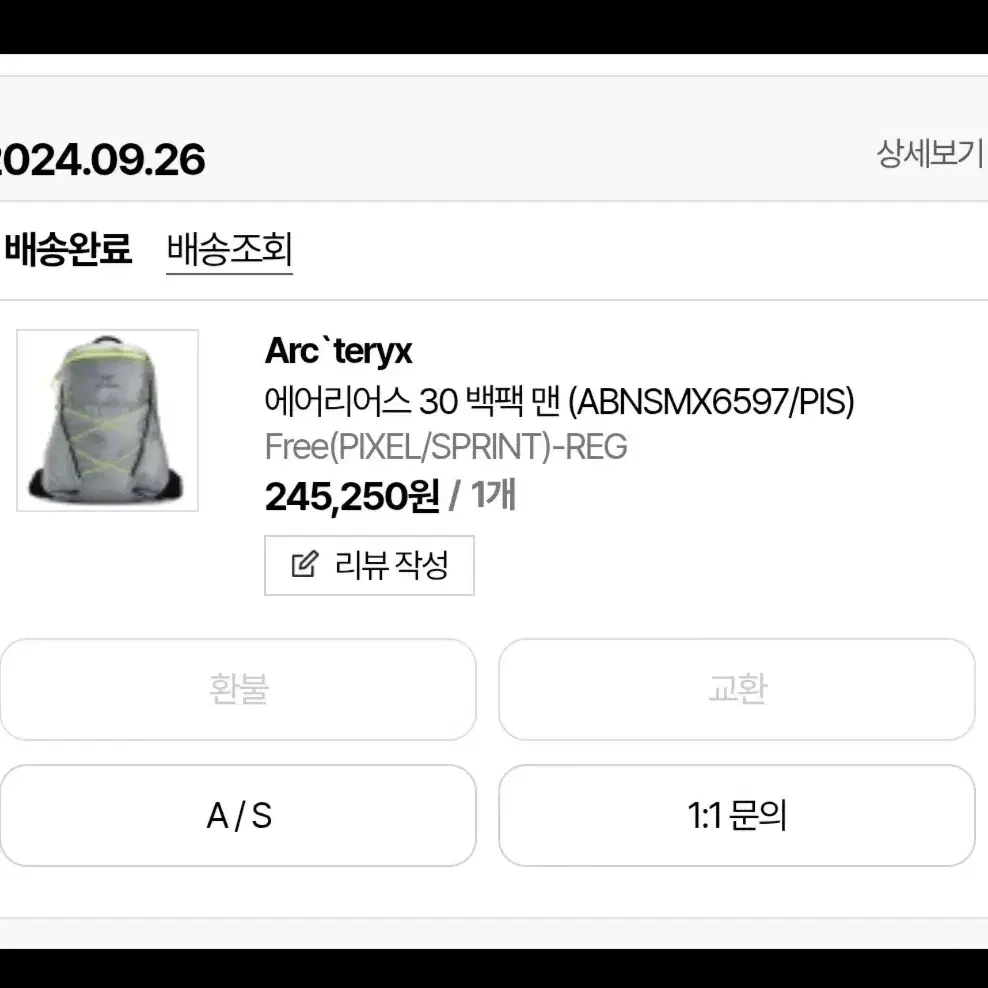 아크테릭스 에어리어스 30L