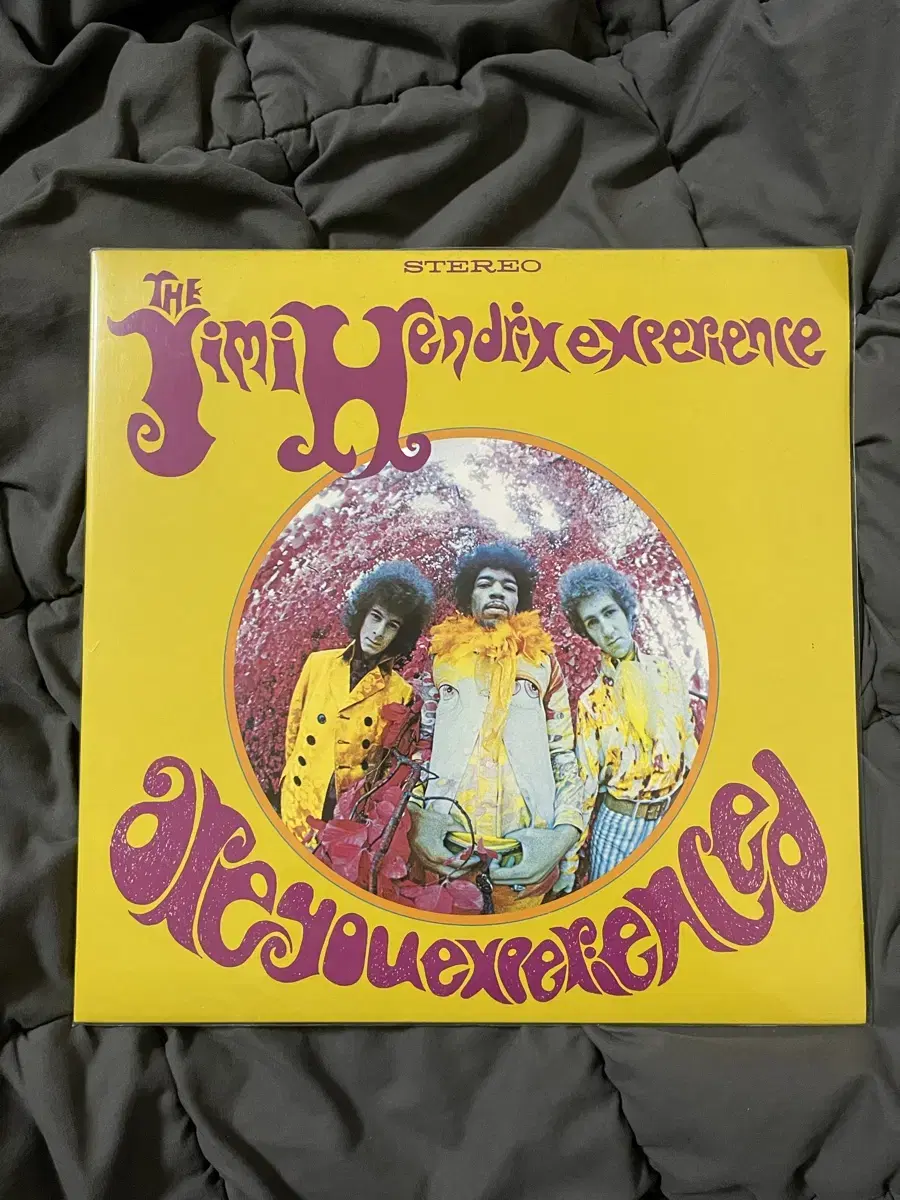 Jimi Hendrix LP 엘피판