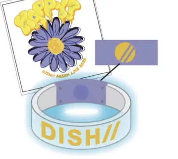 DISH // 라이트 뱅글