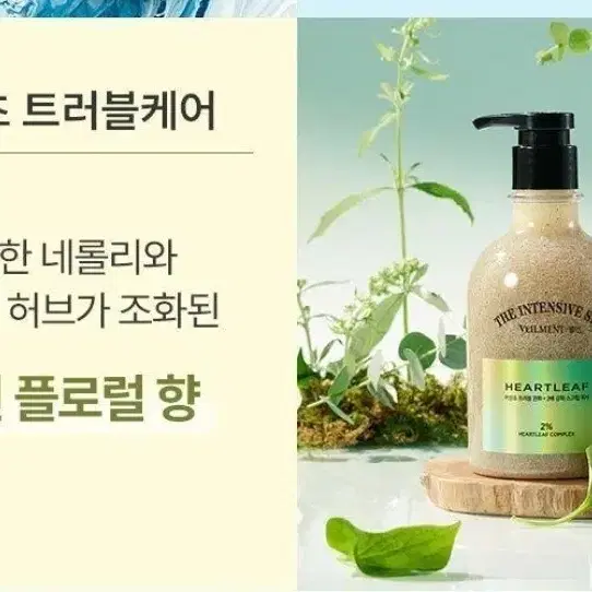 벨먼 인텐시브 스파 바디워시 (어성초)400ml