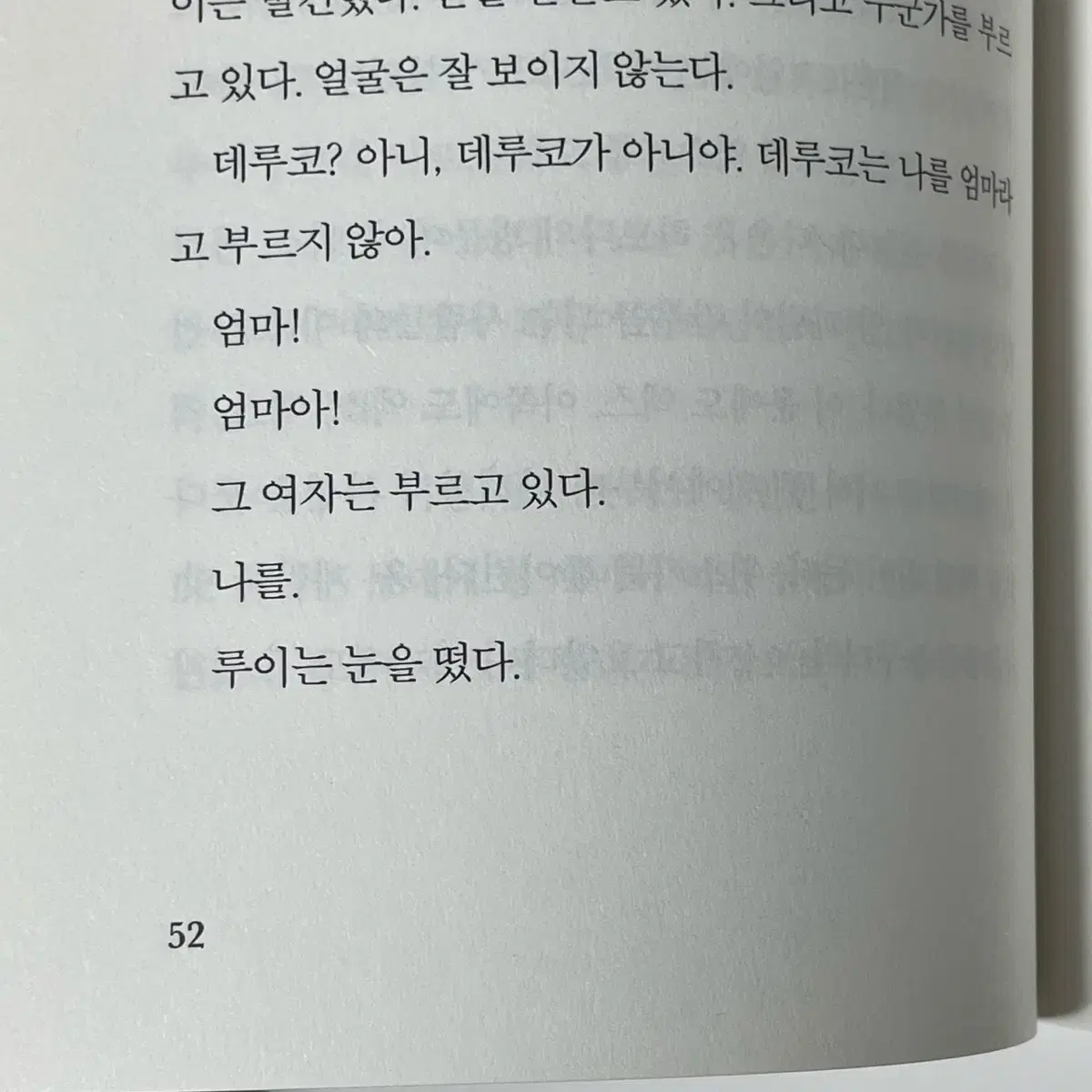 일본 문학 소설 / 데루코와 루이