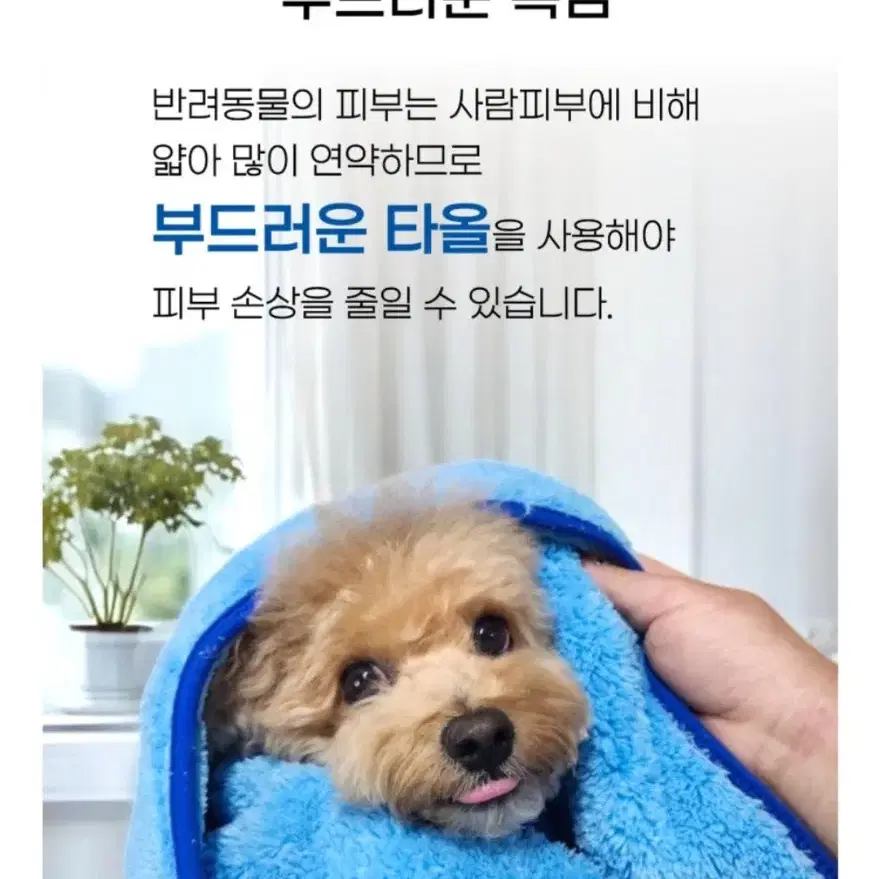 강아지 고양이 대형 샤워 타월 목욕 수건