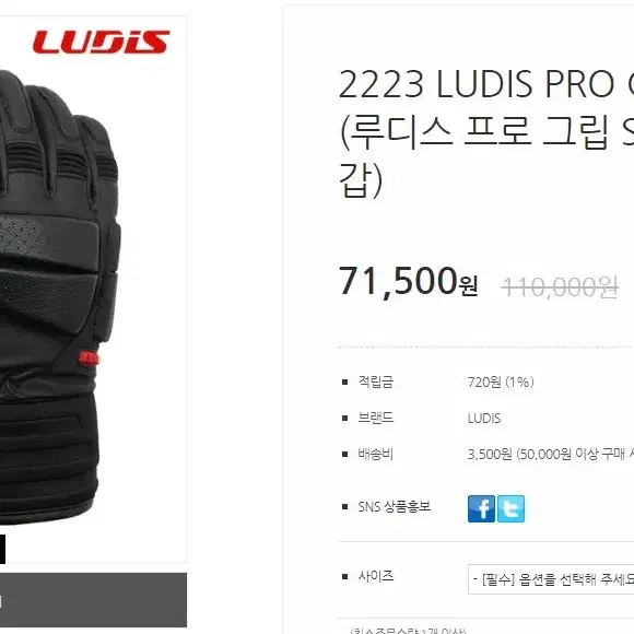 LUDIS PRO GRIP-SR 루디스 프로 그립 SR 스키장갑 블랙