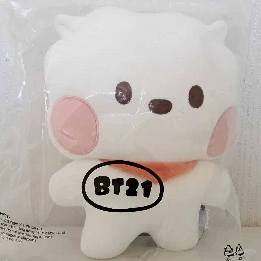 30일까지 / BT21 RJ 캐릭터 봉제 인형