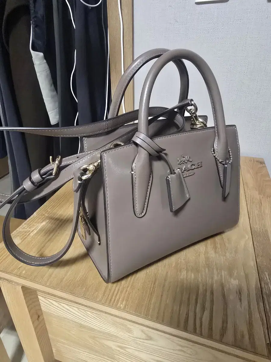 코치 안드레아 캐리올 백 Andrea Carryall Bag