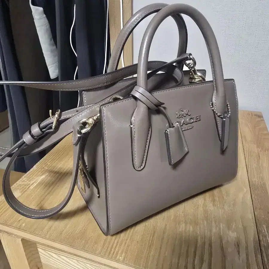 코치 안드레아 캐리올 백 Andrea Carryall Bag