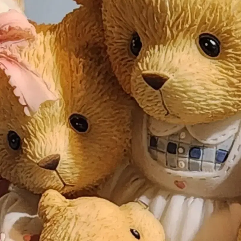 체리쉬드 테디즈 - Cherished Teddies 538299